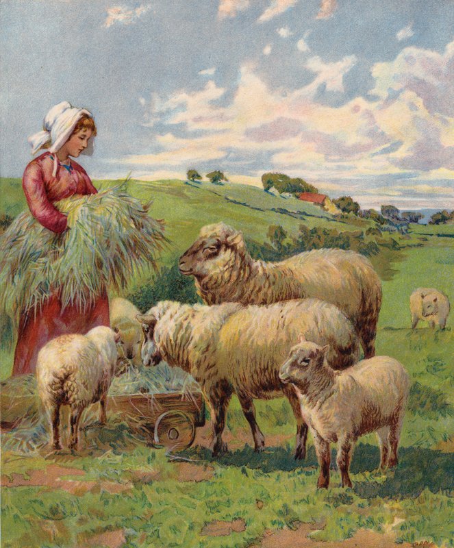 Juhokat etető lány (színes litográfia) alkotó: English School