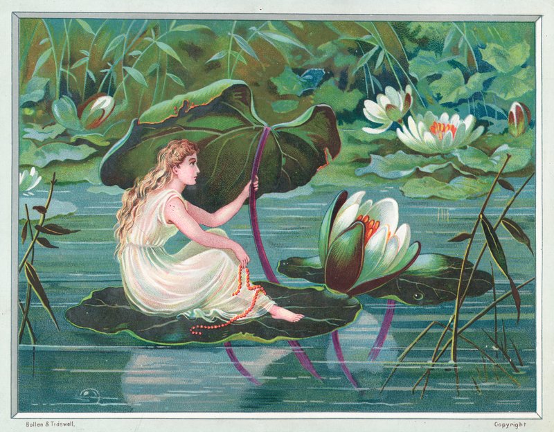Lány ül a Lily Pad-on a tóban, karácsonyi kártya alkotó: English School