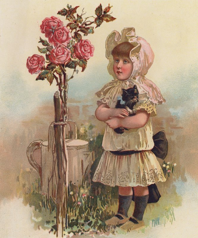 Lány egy macskával és egy rózsafával (chromolitho) alkotó: English School