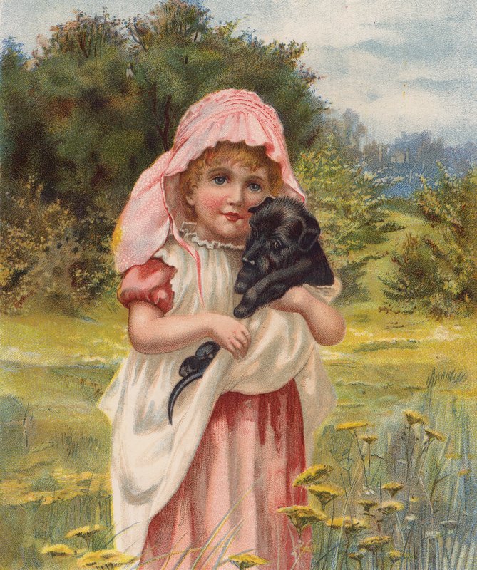 Lány egy kiskutyával (chromolitho) alkotó: English School