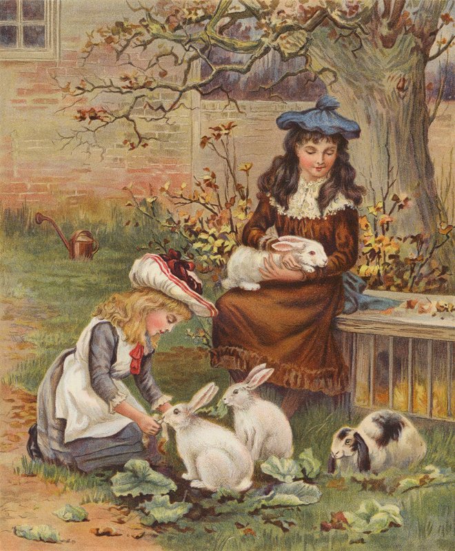 Lányok gondozzák házinyulaikat (chromolitho) alkotó: English School