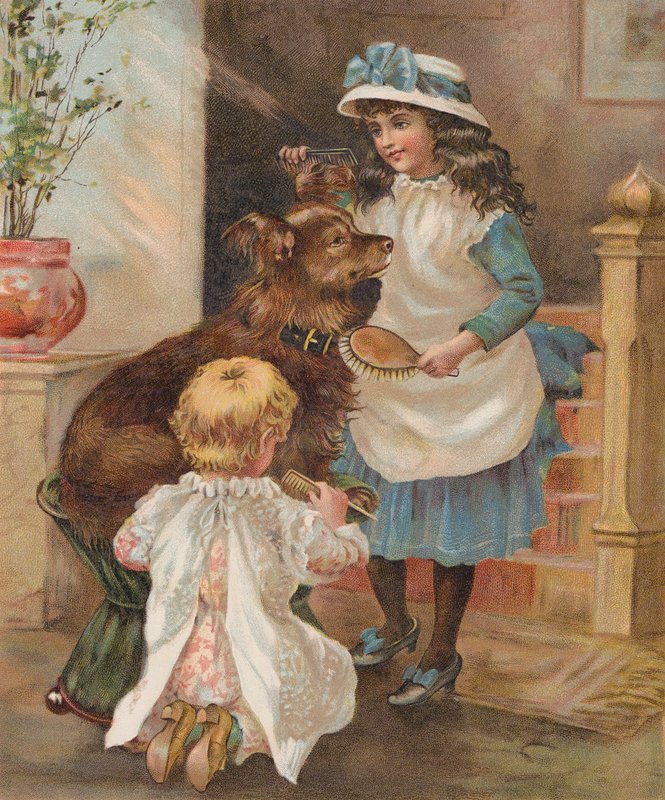 Lányok kutyát ápolnak (chromolitho) alkotó: English School