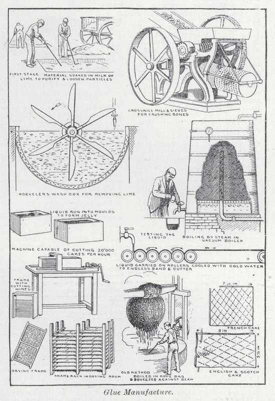 Ragasztógyártás (litho) alkotó: English School