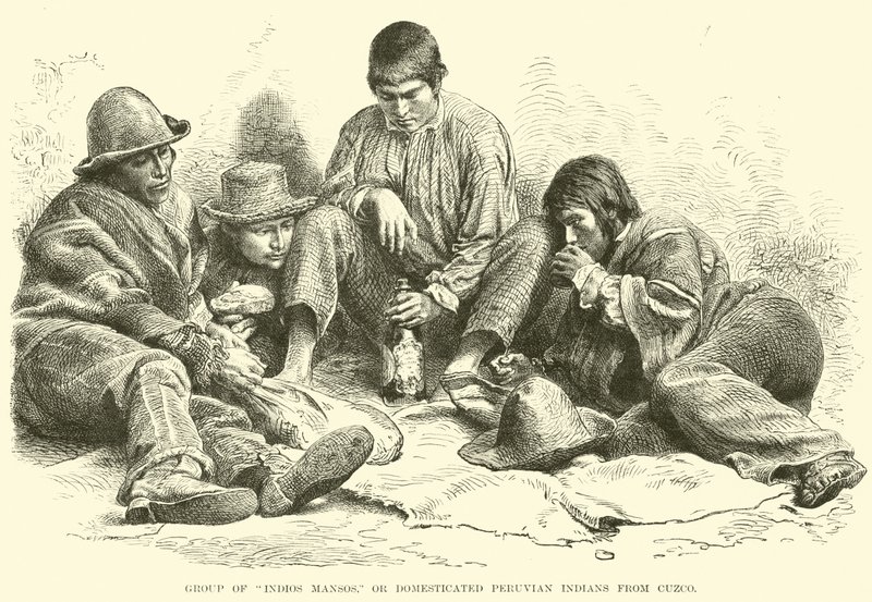Indios Mansos csoport, vagy háziasított perui indiánok Cuzcóból alkotó: English School