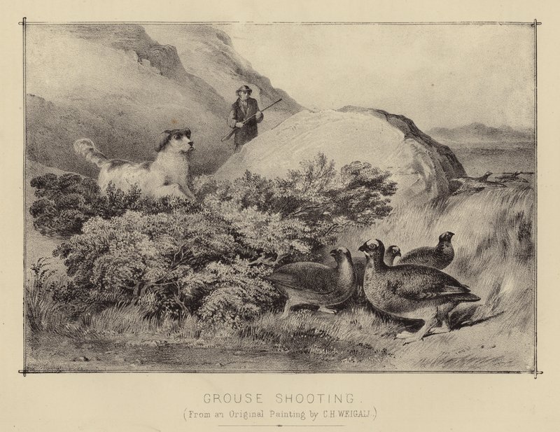 Grouse Shooting (színes litó) alkotó: English School
