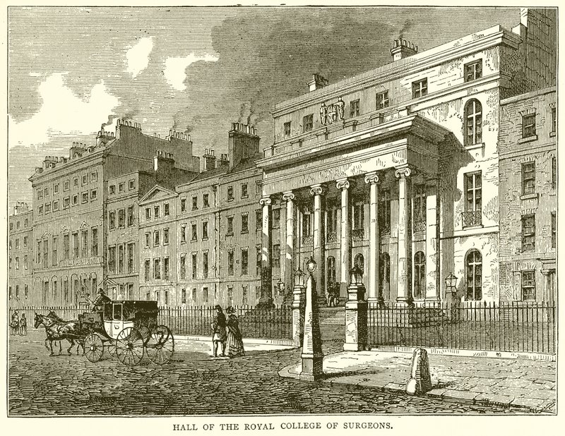 A Royal College of Surgeons terme alkotó: English School