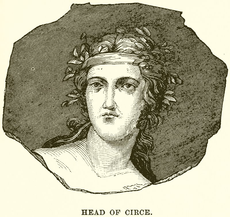 A Circe vezetője alkotó: English School