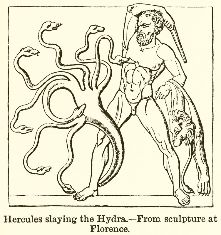 Herkules megöli a hidrát alkotó: English School
