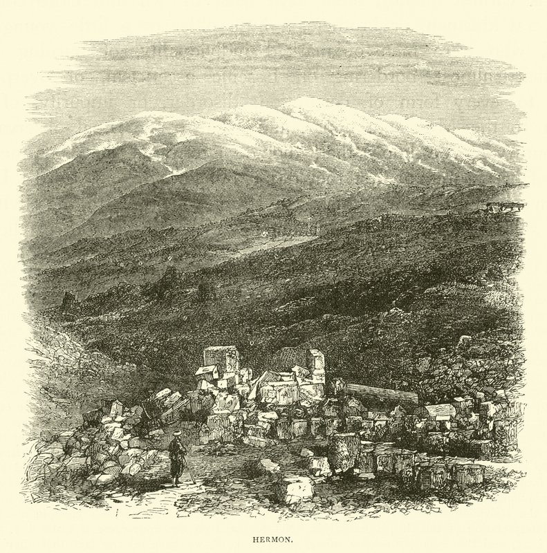 Hermon alkotó: English School