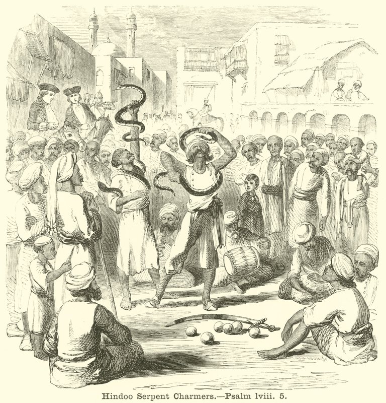Hindoo Serpent Charmers, Zsoltár, lviii, 5 alkotó: English School