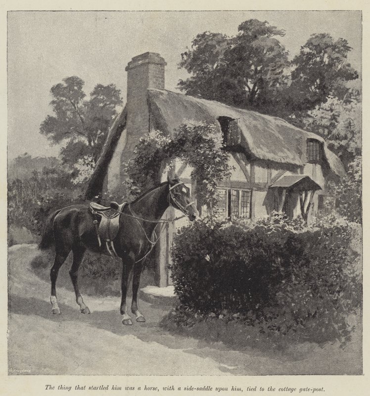 Jótündérje, Mary Elizabeth Braddon (metszet) alkotó: English School