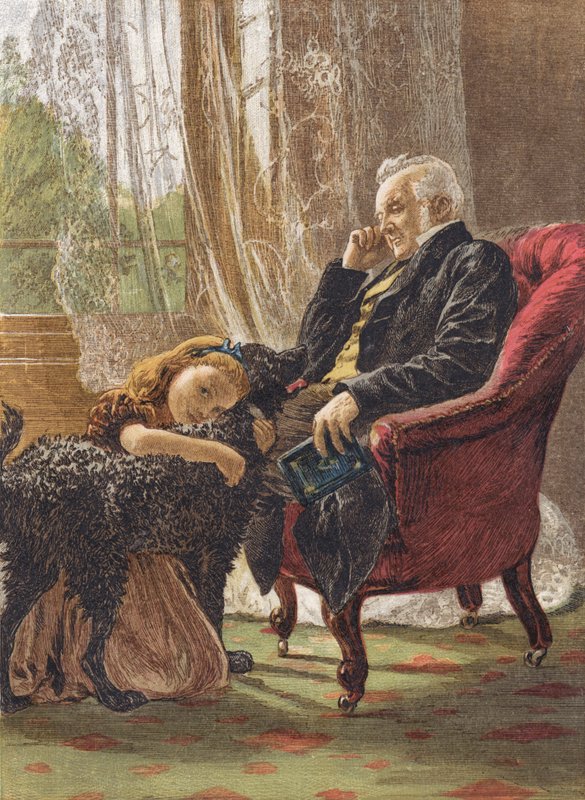 Otthon Barátok alkotó: English School