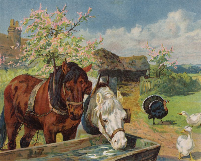 A lovak vízvályúból isznak (színes litó) alkotó: English School