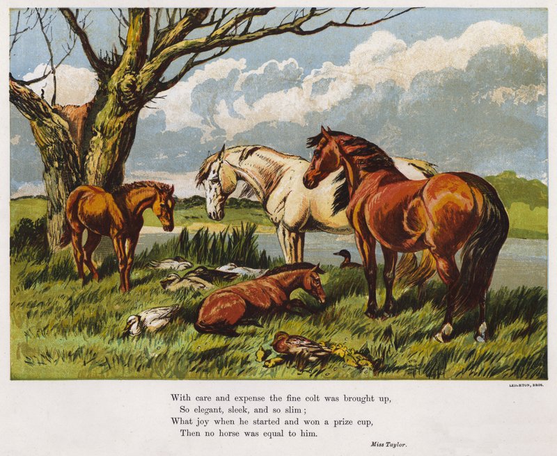 Lovak fiatal csikóssal a folyóparton (színes metszet) alkotó: English School