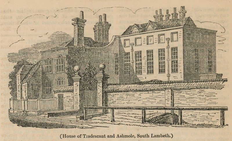 House of Tradescant és Ashmole, South Lambeth alkotó: English School