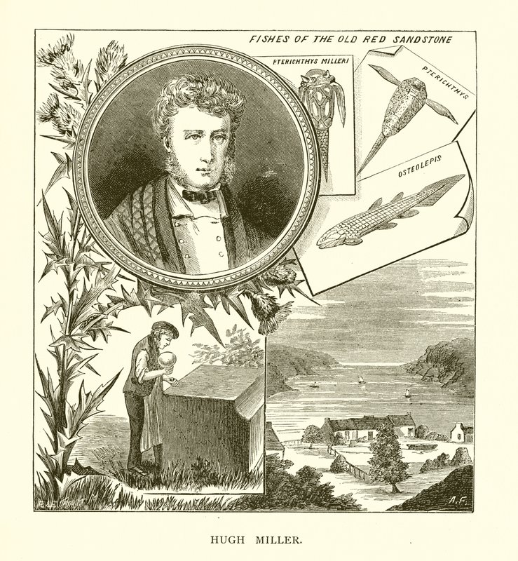 Hugh Miller alkotó: English School