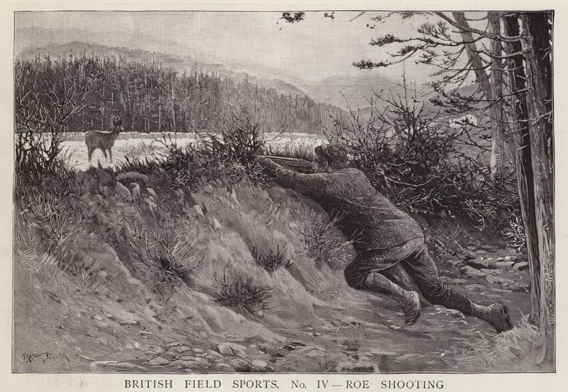 Vadász őzre lő (litho) alkotó: English School