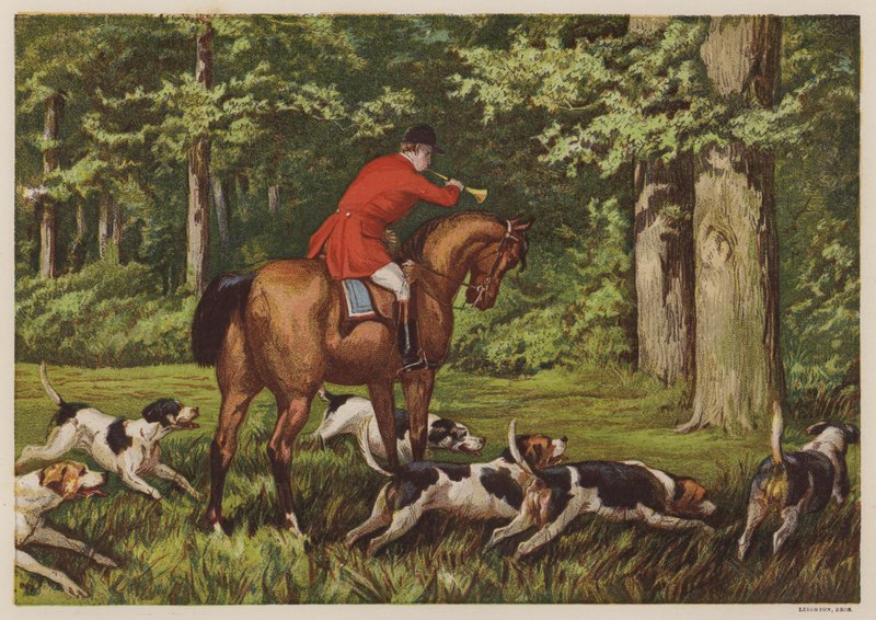 Vadászat vadászkutyákkal (színes litho) alkotó: English School