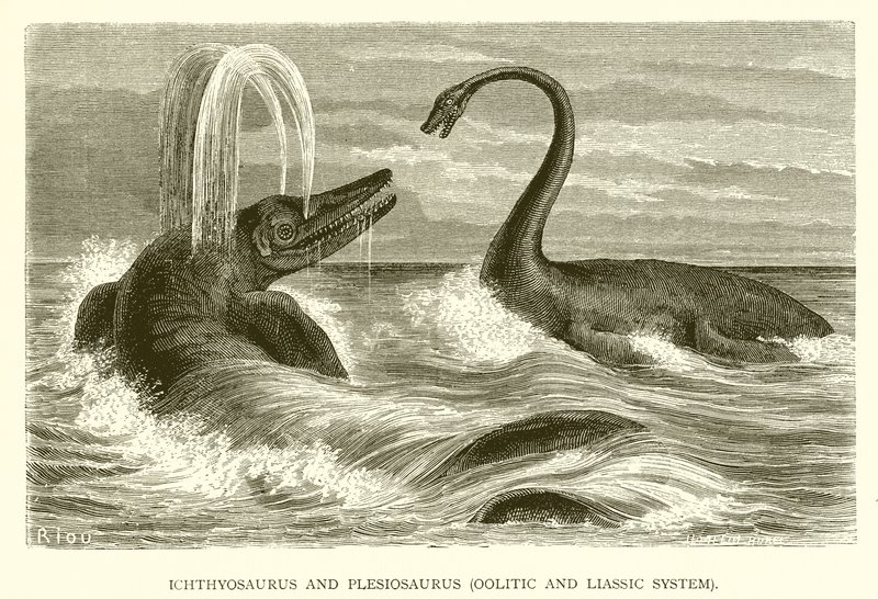 Ichthyosaurus és Plesiosaurus, Oolitikus és Liász rendszer alkotó: English School