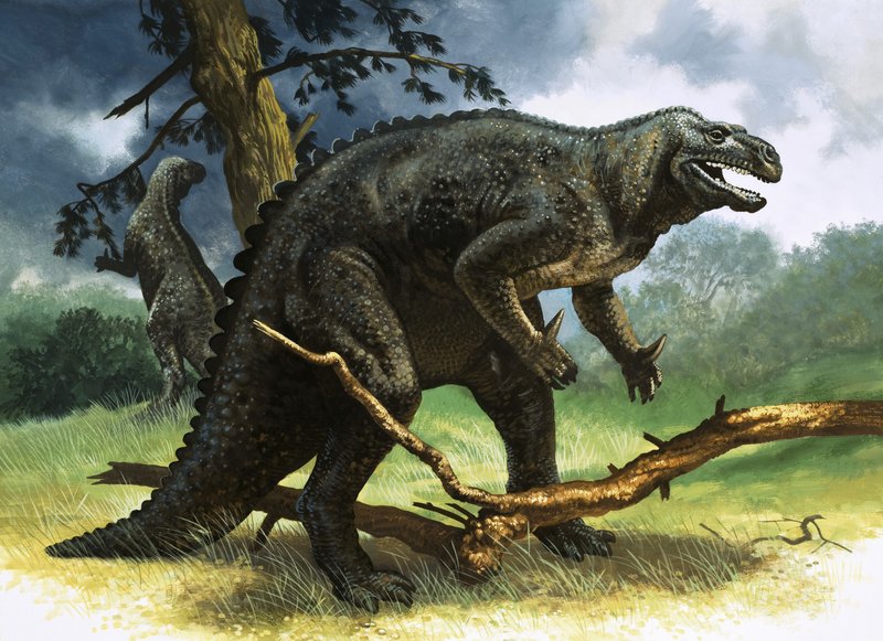 Iguanodon alkotó: English School