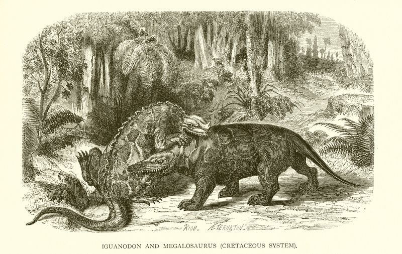 Iguanodon és Megalosaurus, kréta rendszer alkotó: English School