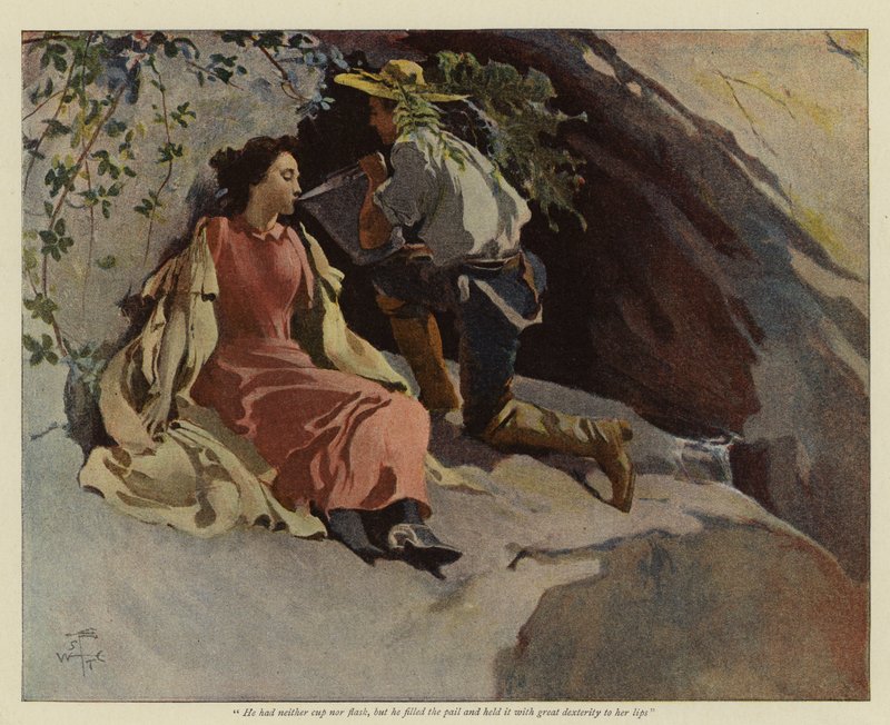 Illusztráció Bret Harte: Jack and Jill of the Sierras (színes litográfia) alkotó: English School