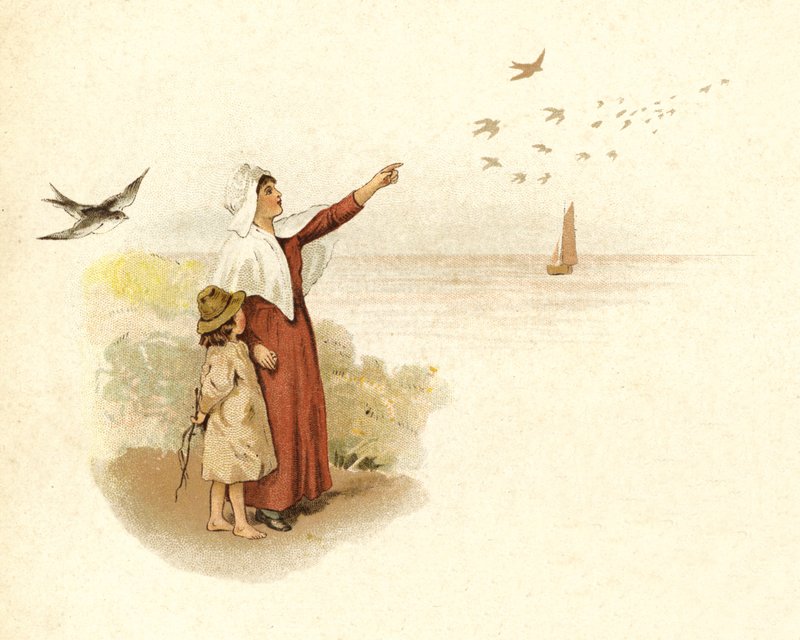 Illusztráció a The Coming Of Father Christmas (színes litográfia) alkotó: English School