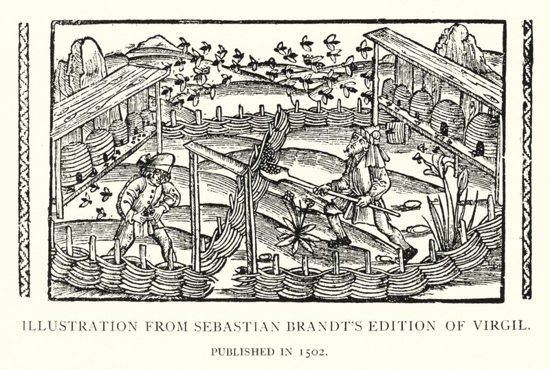 Illusztráció Sebastian Brandt 1502-ben megjelent Vergilius-kiadásából (litho) alkotó: English School