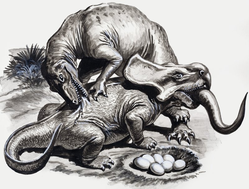A dinoszauruszok napjaiban: Felfedezés a sivatagban alkotó: English School
