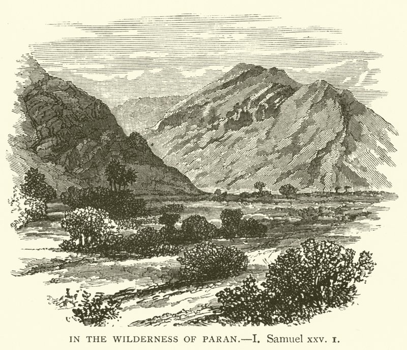 A parani vadonban én, Samuel, xxv alkotó: English School