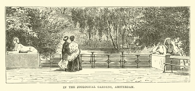 Amszterdam állatkertjében alkotó: English School