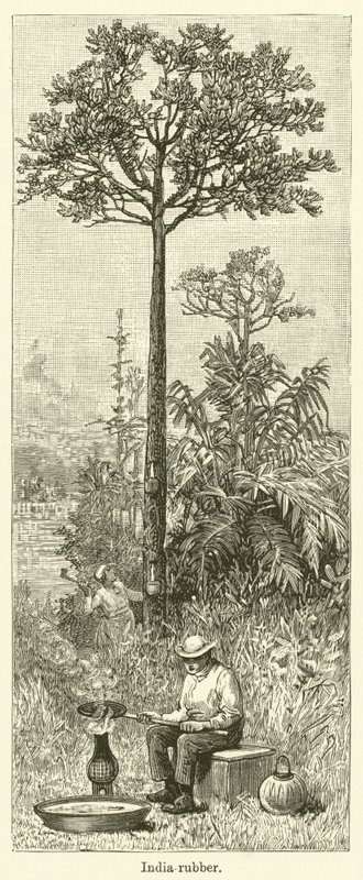 Indiai gumi (gravírozás) alkotó: English School