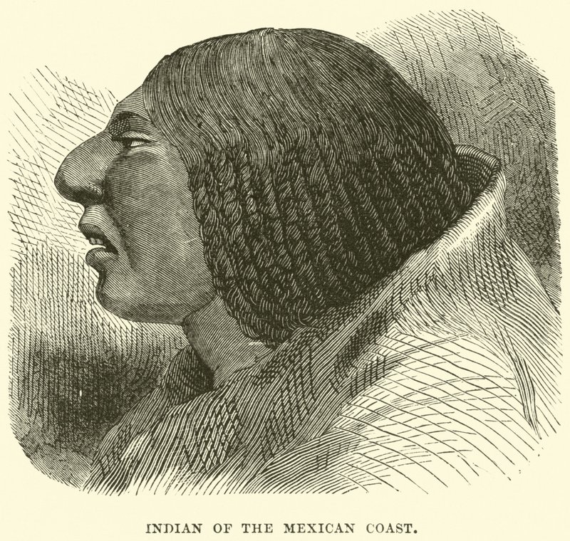 indián a mexikói parton alkotó: English School