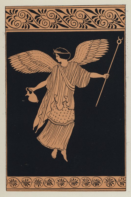 Írisz (színes litográfia) alkotó: English School