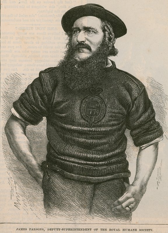 James Parsons, a Royal Human Society helyettes felügyelője alkotó: English School