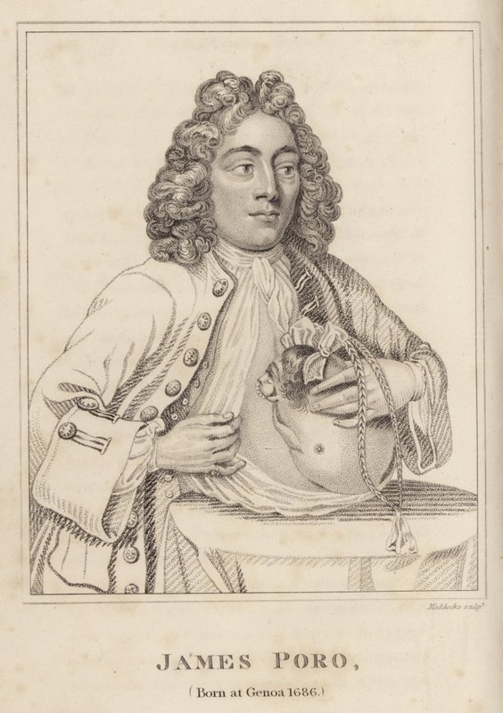 James Poro, Genovában született 1686-ban alkotó: English School
