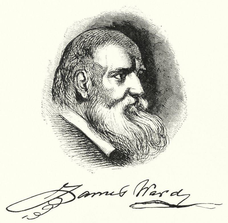 James Ward (metszet) alkotó: English School