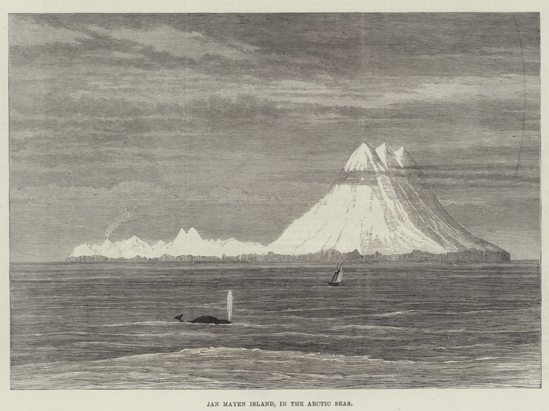Jan Mayen-sziget, a sarkvidéki tengerekben (metszet) alkotó: English School