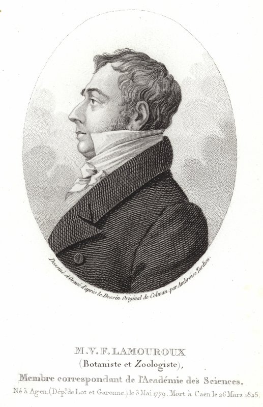 Jean Vincent Felix Lamouroux alkotó: English School