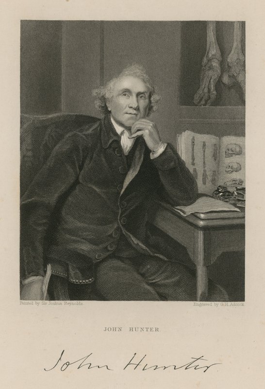 John Hunter alkotó: English School