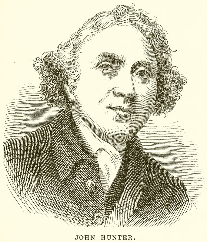 John Hunter alkotó: English School