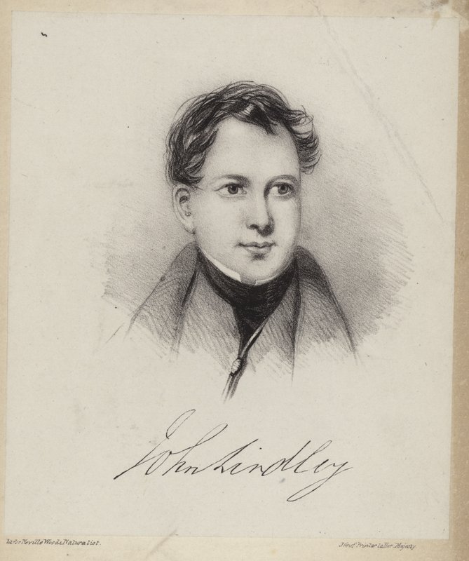 John Lindley alkotó: English School