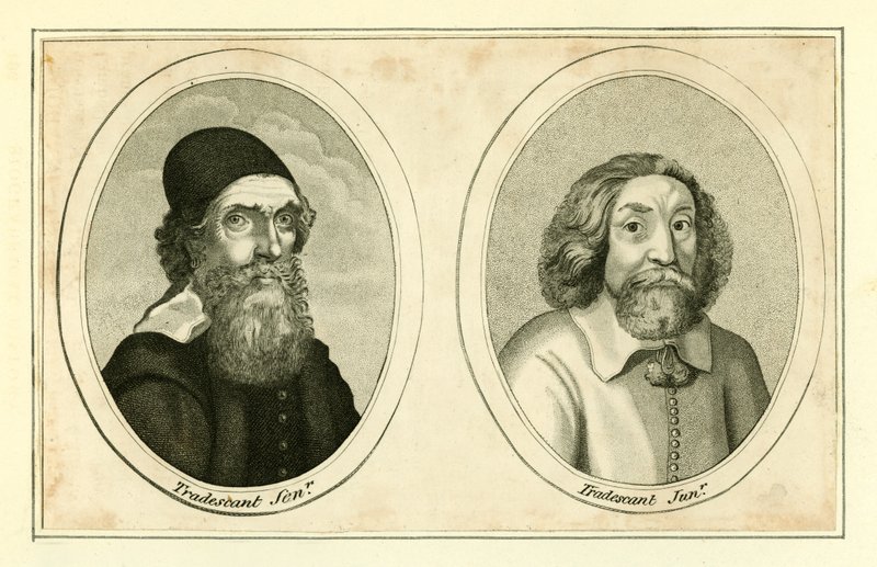John Tradescant, Senior és Junior alkotó: English School