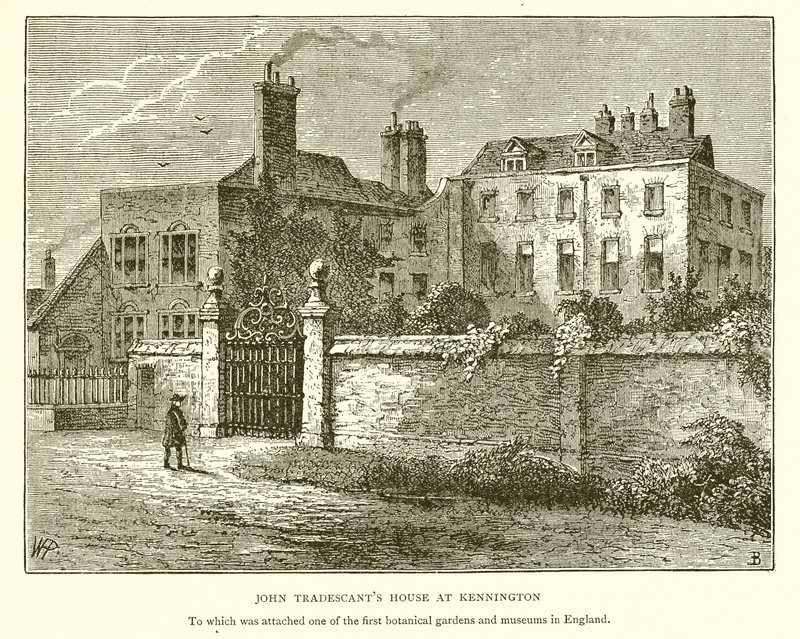 John Tradescants Ház Kenningtonban alkotó: English School