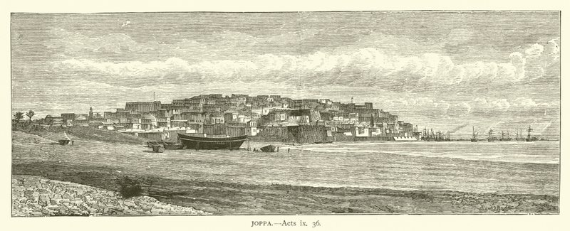 Joppa, ApCsel, ix, 36 (metszet) alkotó: English School