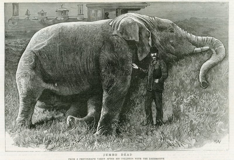 Jumbo, halott alkotó: English School