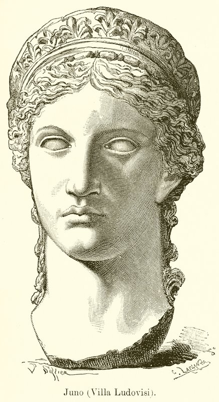 Juno (Villa Ludovisi) alkotó: English School