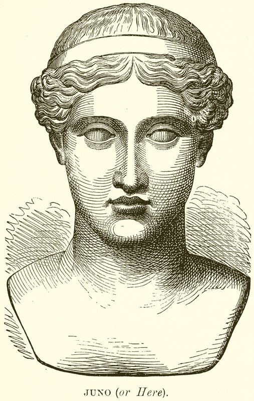 Juno (vagy itt) alkotó: English School