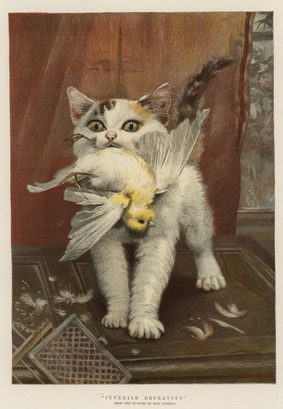 Fiatalkorúak romlása (chromolitho) alkotó: English School