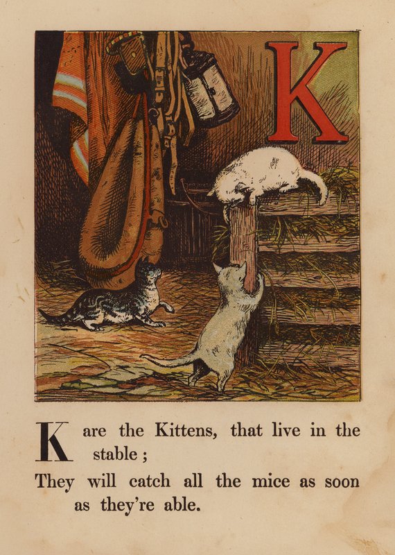 K, Cicák (színes metszet) alkotó: English School